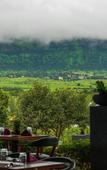 Туры в отель Fazlani Natures Nest - The Wellness Retreat Туры в отель Fazlani Natures Nest - The Wellness Retreat