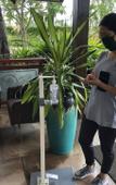 Туры в отель Fazlani Natures Nest - The Wellness Retreat Туры в отель Fazlani Natures Nest - The Wellness Retreat