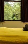 Туры в отель The Hosteller Kasol Туры в отель The Hosteller Kasol