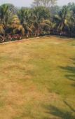 Туры в отель Pushp Vatika Resort & Lawns Туры в отель Pushp Vatika Resort & Lawns