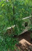 Туры в отель Trees & Tigers Туры в отель Trees & Tigers