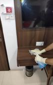 Туры в отель Hotel Apple Inn Туры в отель Hotel Apple Inn