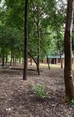 Туры в отель Ganga Yog Retreat by Yog Gurukul Туры в отель Ganga Yog Retreat by Yog Gurukul