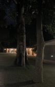 Туры в отель Ganga Yog Retreat by Yog Gurukul Туры в отель Ganga Yog Retreat by Yog Gurukul