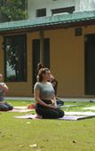 Туры в отель Ganga Yog Retreat by Yog Gurukul Туры в отель Ganga Yog Retreat by Yog Gurukul
