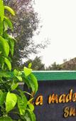Туры в отель La Niebla Farm Resort Туры в отель La Niebla Farm Resort