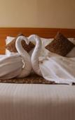 Туры в отель Ack Palacce Inn Туры в отель Ack Palacce Inn