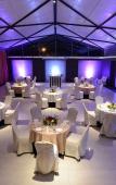 Туры в отель Hotel Maple IVY Туры в отель Hotel Maple IVY