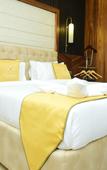 Туры в отель Lazdana Hotel Bangalore Туры в отель Lazdana Hotel Bangalore