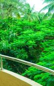 Туры в отель Hyde Park Orchards Туры в отель Hyde Park Orchards