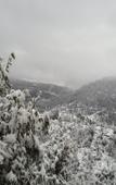 Туры в отель juSTa Mukteshwar Retreat & Spa Туры в отель juSTa Mukteshwar Retreat & Spa
