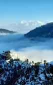 Туры в отель juSTa Mukteshwar Retreat & Spa Туры в отель juSTa Mukteshwar Retreat & Spa