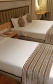 Туры в отель Rudra Shelter Business Hotel Туры в отель Rudra Shelter Business Hotel