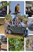 Туры в отель UbEx Home Rishikesh - Hostel Туры в отель UbEx Home Rishikesh - Hostel
