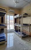 Туры в отель UbEx Home Rishikesh - Hostel Туры в отель UbEx Home Rishikesh - Hostel