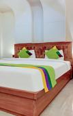 Туры в отель Treebo Calista, Patel Nagar Туры в отель Treebo Calista, Patel Nagar