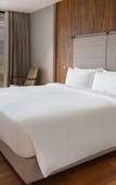 Туры в отель Radisson Resort and Spa Lonavala Туры в отель Radisson Resort and Spa Lonavala