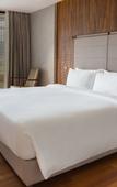 Туры в отель Radisson Resort and Spa Lonavala Туры в отель Radisson Resort and Spa Lonavala