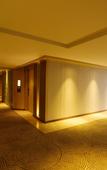 Туры в отель Radisson Bhopal Туры в отель Radisson Bhopal