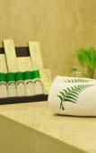 Туры в отель The Fern Residency Haridwar Туры в отель The Fern Residency Haridwar