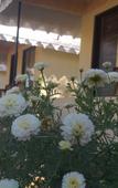 Туры в отель Nature Resort Туры в отель Nature Resort