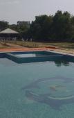 Туры в отель Nature Resort Туры в отель Nature Resort