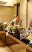 Туры в отель Silverador Boutique Hotel Туры в отель Silverador Boutique Hotel
