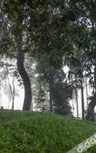 Туры в отель Great Trails Wayanad by GRT Hotel Туры в отель Great Trails Wayanad by GRT Hotel