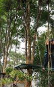 Туры в отель Great Trails Wayanad by GRT Hotel Туры в отель Great Trails Wayanad by GRT Hotel