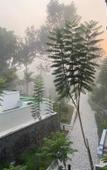 Туры в отель Great Trails Wayanad by GRT Hotel Туры в отель Great Trails Wayanad by GRT Hotel