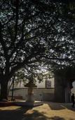 Туры в отель Visava Amusement Park & Resorts Panvel Туры в отель Visava Amusement Park & Resorts Panvel