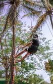 Туры в отель Visava Amusement Park & Resorts Panvel Туры в отель Visava Amusement Park & Resorts Panvel
