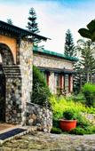 Туры в отель Tree of Life Resort, Dehradun Foothills Туры в отель Tree of Life Resort, Dehradun Foothills