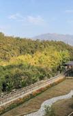 Туры в отель Tree of Life Resort, Dehradun Foothills Туры в отель Tree of Life Resort, Dehradun Foothills