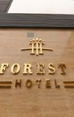 Туры в отель THE FOREST HILL HOTEL Туры в отель THE FOREST HILL HOTEL