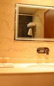 Туры в отель THE FOREST HILL HOTEL Туры в отель THE FOREST HILL HOTEL