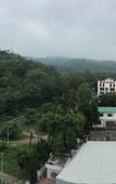 Туры в отель THE FOREST HILL HOTEL Туры в отель THE FOREST HILL HOTEL