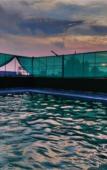 Туры в отель Hotel B P Emerald Туры в отель Hotel B P Emerald