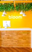 Туры в отель Bloom Hotel - Gachibowli Туры в отель Bloom Hotel - Gachibowli