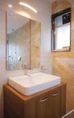Туры в отель AVENUE Hotel Ballygunge Туры в отель AVENUE Hotel Ballygunge