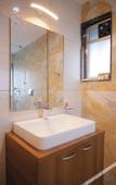 Туры в отель AVENUE Hotel Ballygunge Туры в отель AVENUE Hotel Ballygunge