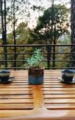 Туры в отель BluSalzz Escapade, Lansdowne - Uttarakhand Туры в отель BluSalzz Escapade, Lansdowne - Uttarakhand