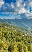 Туры в отель Shimla Alpine Regency Туры в отель Shimla Alpine Regency