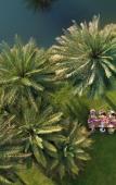 Туры в отель Mementos By ITC Hotels Ekaaya Udaipur Туры в отель Mementos By ITC Hotels Ekaaya Udaipur