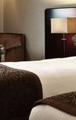 Туры в отель Millennium & Copthorne Hotels at Chelsea Football Club Туры в отель Millennium & Copthorne Hotels at Chelsea Football Club