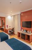 Туры в отель Regenta Place Bhopal Туры в отель Regenta Place Bhopal
