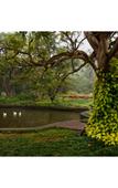 Туры в отель Ama Stays & Trails Sluice House, Lonavala Туры в отель Ama Stays & Trails Sluice House, Lonavala