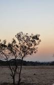 Туры в отель The Glorious Hills Resort Pushkar Туры в отель The Glorious Hills Resort Pushkar