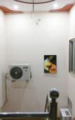 Туры в отель SANGAM PALACE GUEST HOUSE Туры в отель SANGAM PALACE GUEST HOUSE