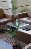 Туры в отель Hotel Prime Classic Туры в отель Hotel Prime Classic